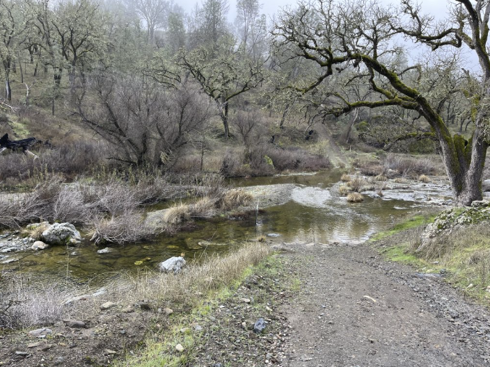 Hike, Camp, and Explore: Henry W. Coe State Park Has It All!